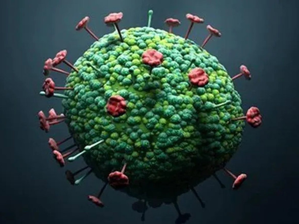 Virus bí ẩn ở Trung Quốc nguy hiểm cỡ nào?